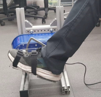 Ankle robotic interface to study human neuromechanics